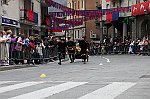 Gara delle Bighe 2011-7784